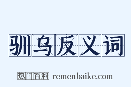 驯乌反义词是什么意思的图片